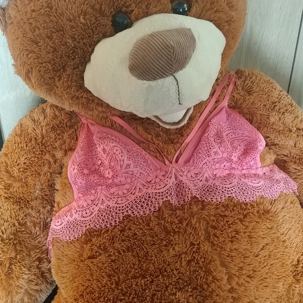 VS Pink lace double strap bralette